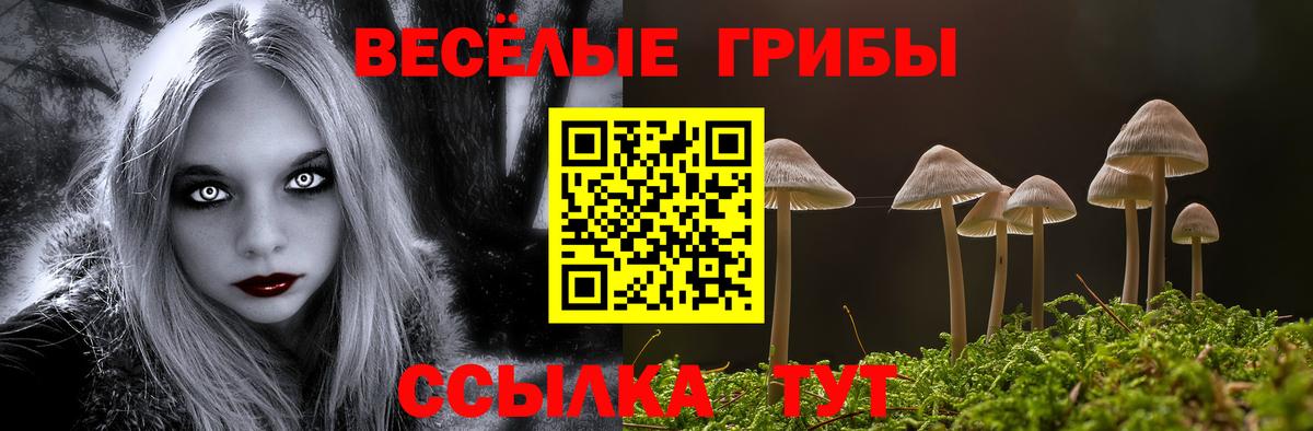 Псилоцибиновые грибы прущие грибы  Вход с VPN  Муравленко 